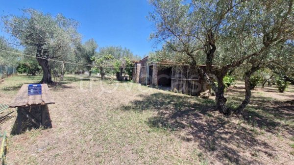 casa indipendente in vendita a Corchiano