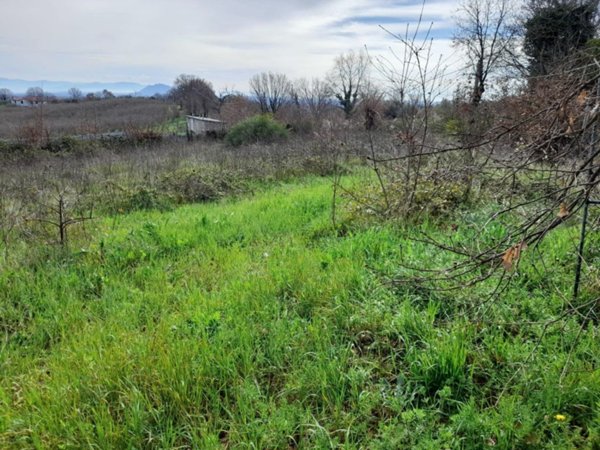 terreno agricolo in vendita a Fabrica di Roma