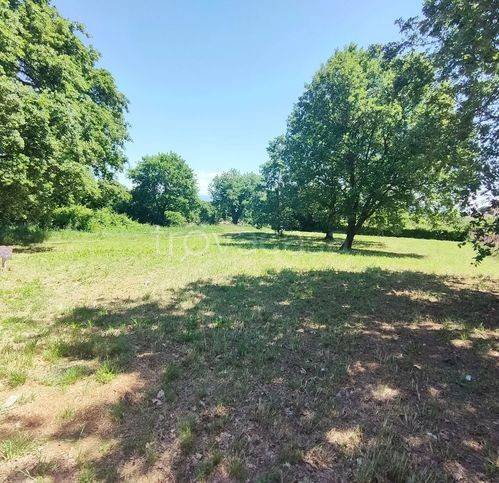 terreno agricolo in vendita a Fabrica di Roma in zona Faleri