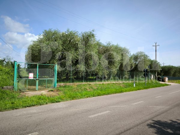 terreno agricolo in vendita a Fabrica di Roma
