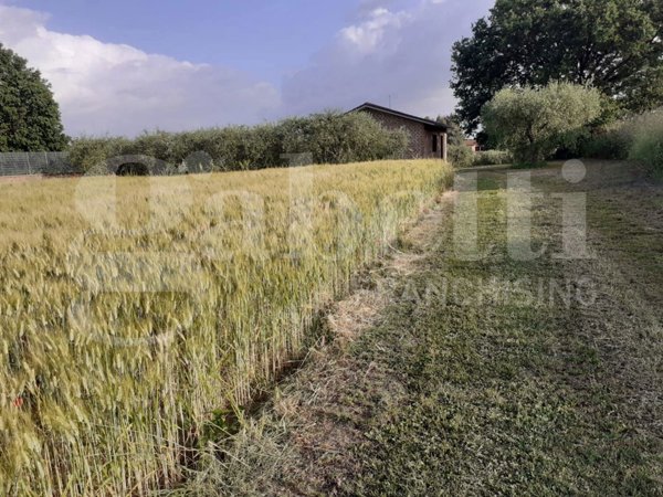 terreno edificabile in vendita a Fabrica di Roma in zona Faleri