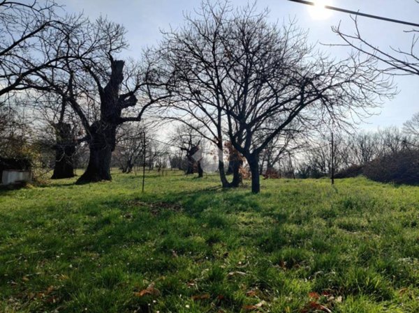 terreno agricolo in vendita a Fabrica di Roma