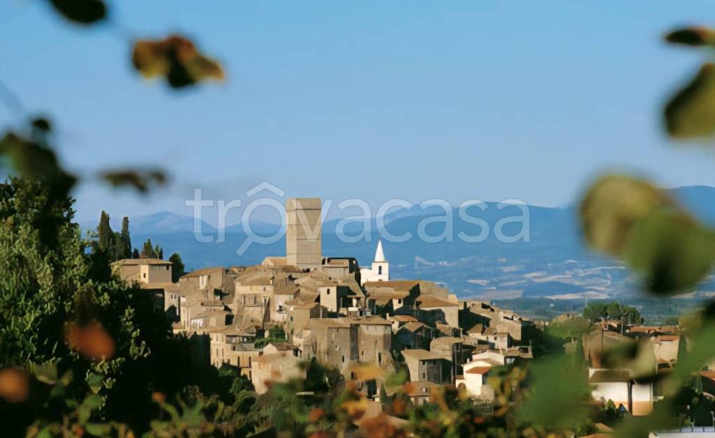 casa indipendente in vendita a Fabrica di Roma