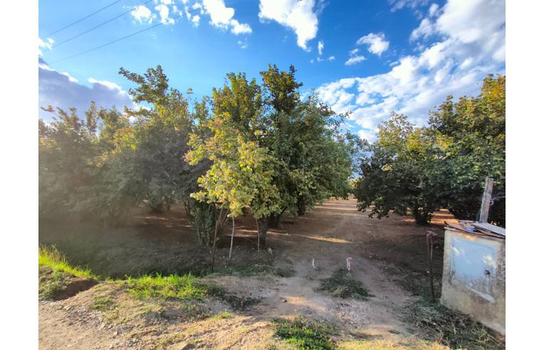 terreno agricolo in vendita a Fabrica di Roma