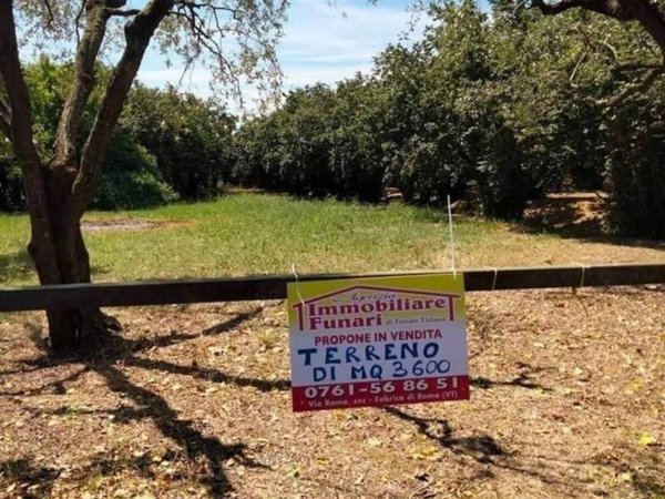 terreno agricolo in vendita a Fabrica di Roma