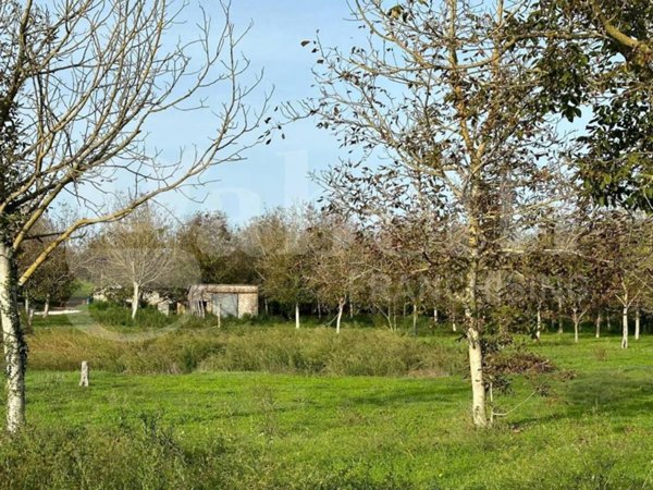 locale di sgombero in vendita a Fabrica di Roma in zona Faleri