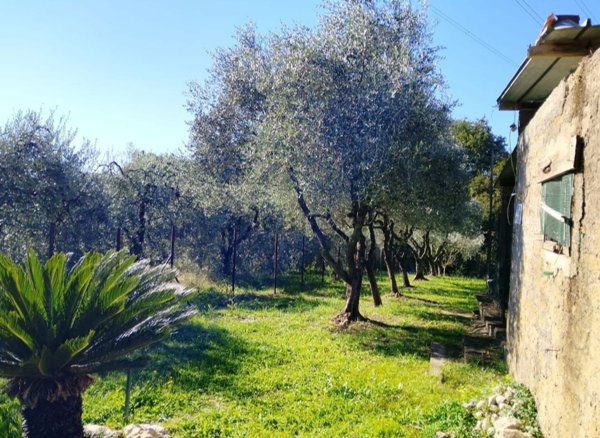 appartamento in vendita a Fabrica di Roma