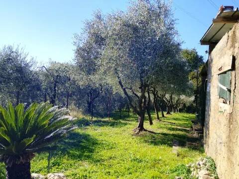 casa indipendente in vendita a Fabrica di Roma