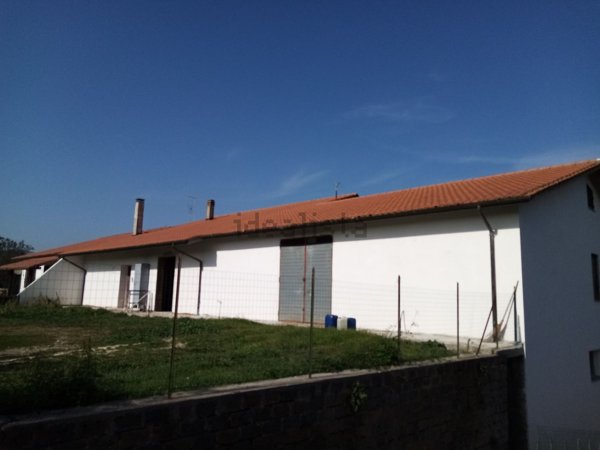 appartamento in vendita a Fabrica di Roma in zona Faleri