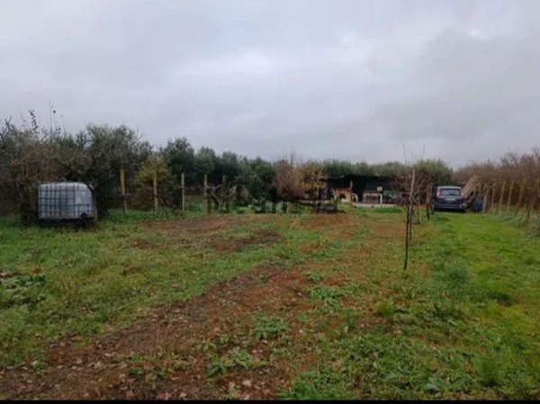 terreno agricolo in vendita a Fabrica di Roma