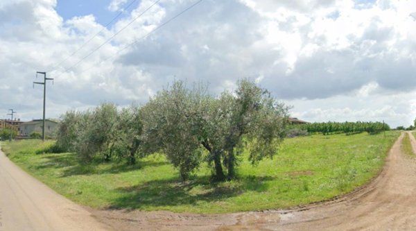 terreno agricolo in vendita a Fabrica di Roma in zona Faleri
