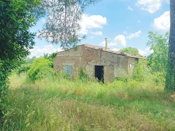 casa indipendente in vendita a Faleria