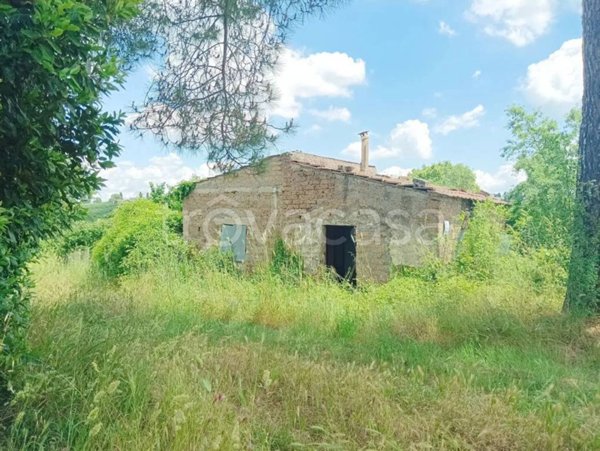 appartamento in vendita a Faleria