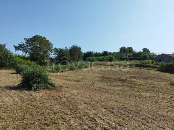 terreno agricolo in vendita a Faleria
