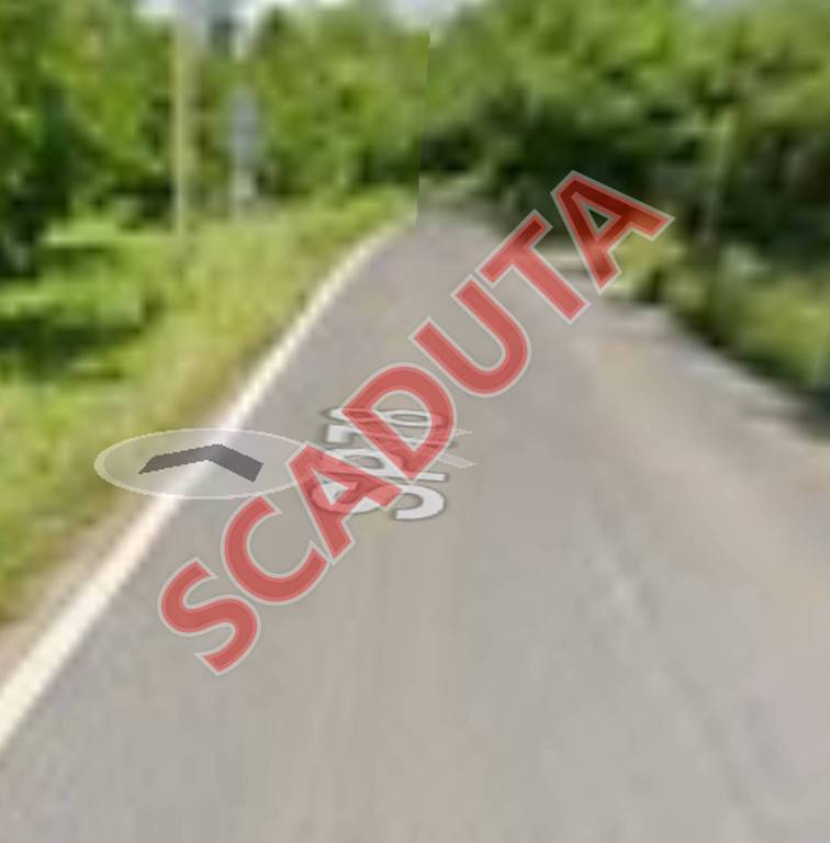 terreno agricolo in vendita a Faleria