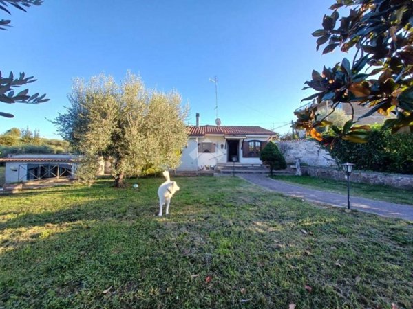 appartamento in vendita a Faleria