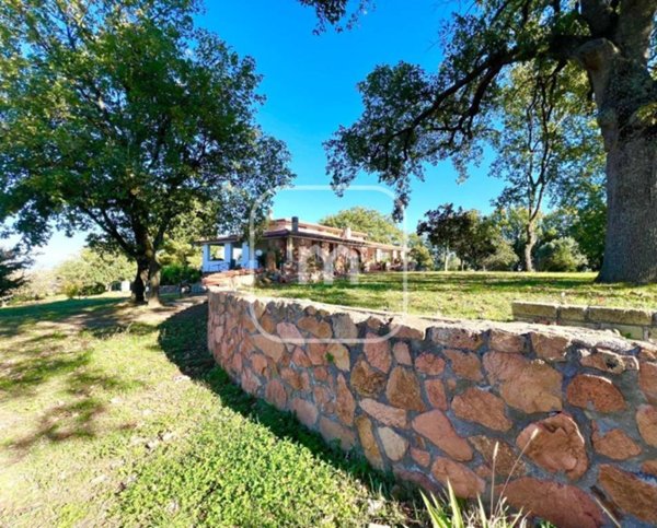 casa indipendente in vendita a Faleria