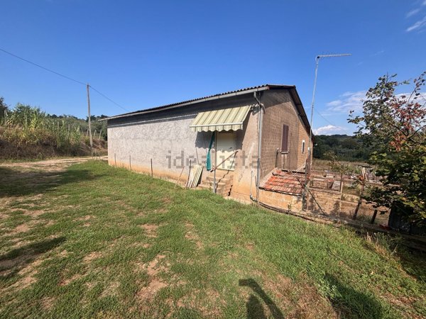terreno agricolo in vendita a Faleria