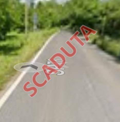 terreno agricolo in vendita a Faleria