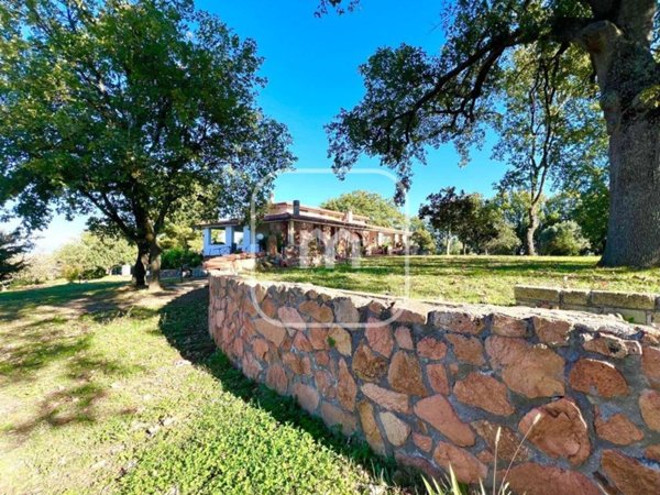 casa indipendente in vendita a Faleria