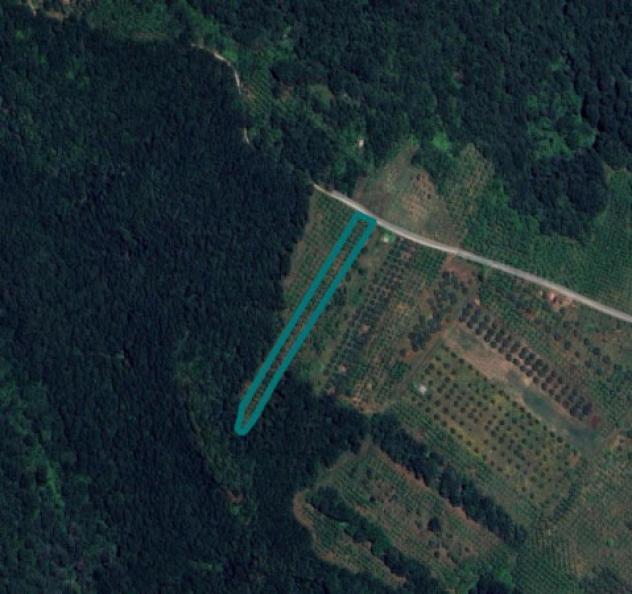 terreno agricolo in vendita a Faleria