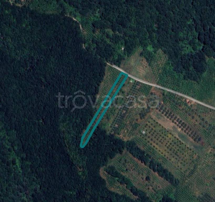 terreno agricolo in vendita a Faleria