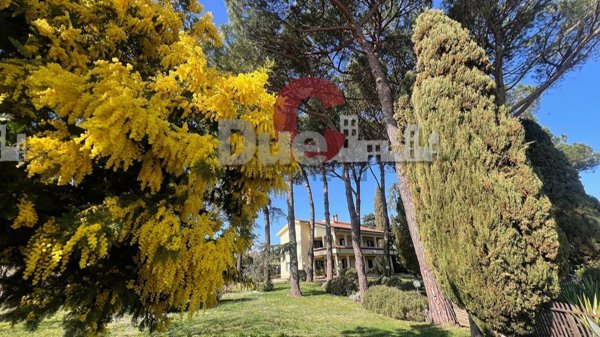 casa indipendente in vendita a Faleria