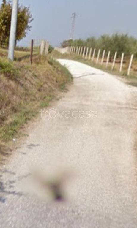 terreno agricolo in vendita a Faleria