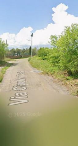 terreno agricolo in vendita a Faleria