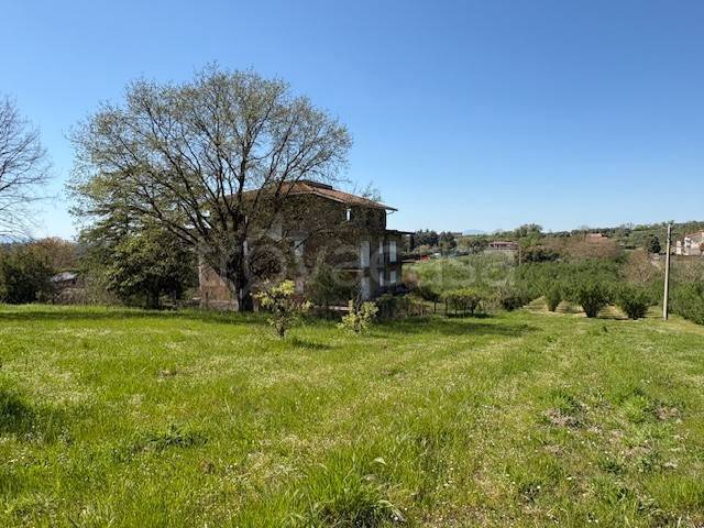 casa indipendente in vendita a Faleria