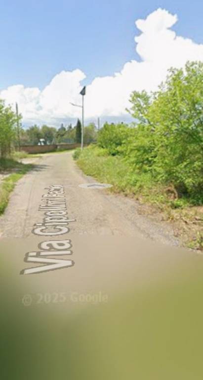 terreno agricolo in vendita a Faleria