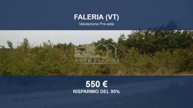 terreno agricolo in vendita a Faleria