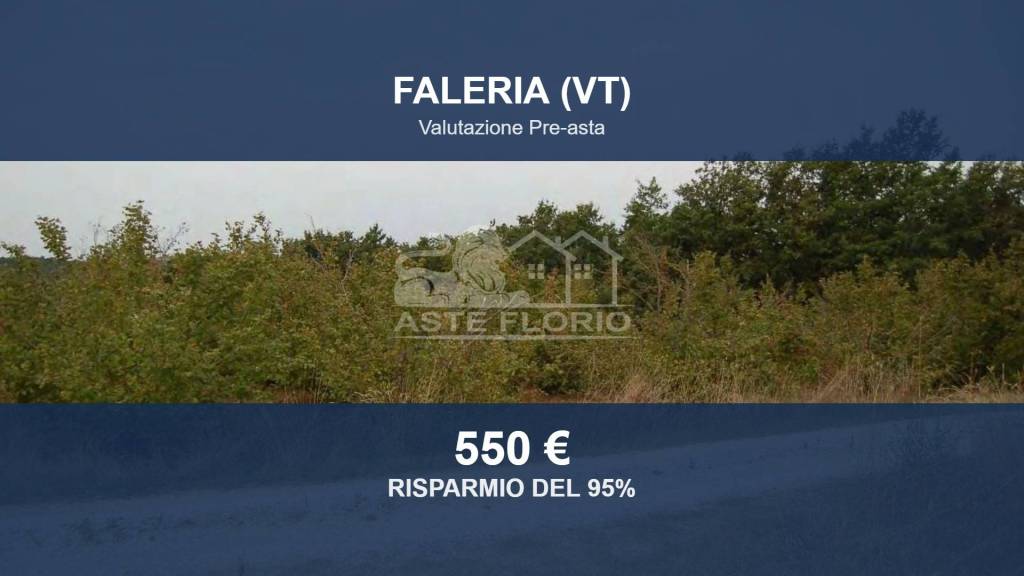 terreno agricolo in vendita a Faleria