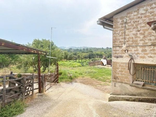 appartamento in vendita a Faleria