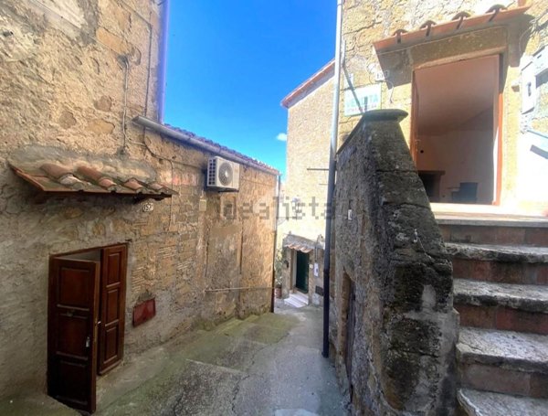 appartamento in vendita a Farnese