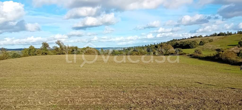 terreno agricolo in vendita a Farnese