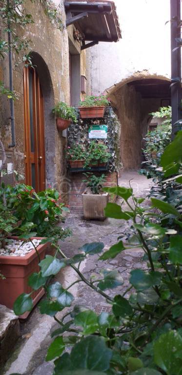 casa indipendente in vendita a Farnese