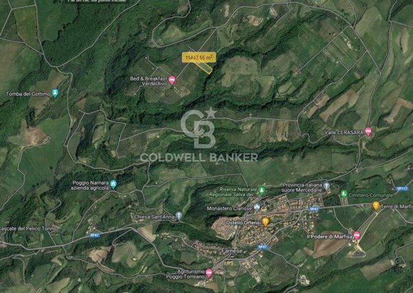 terreno agricolo in vendita a Farnese