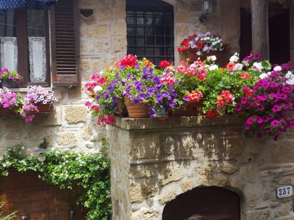 appartamento in vendita a Farnese