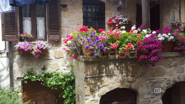 appartamento in vendita a Farnese