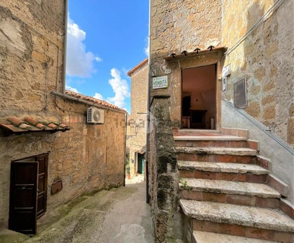 appartamento in vendita a Farnese