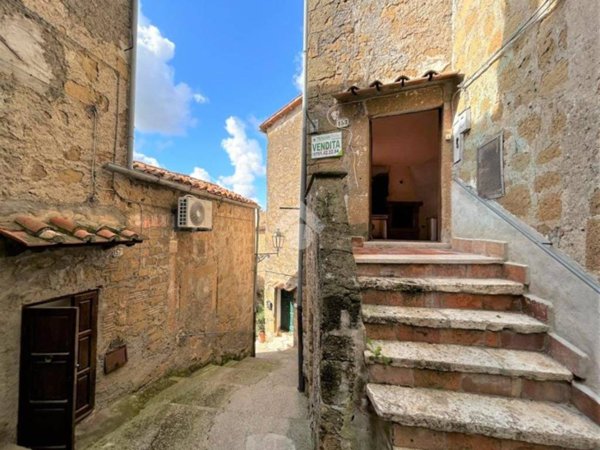 appartamento in vendita a Farnese