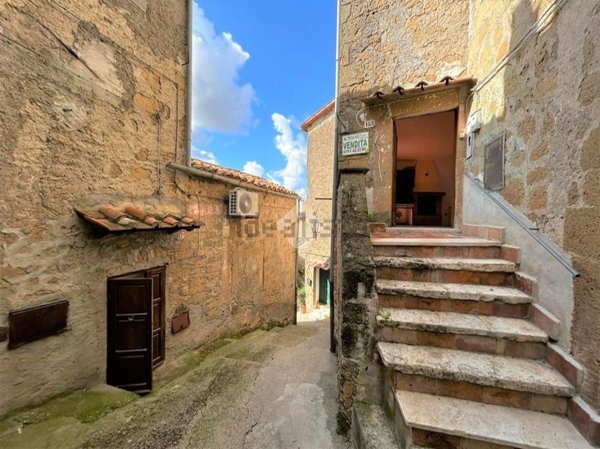 appartamento in vendita a Farnese