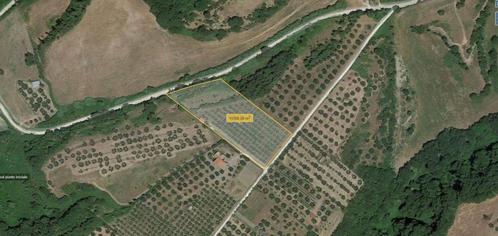 terreno agricolo in vendita a Farnese