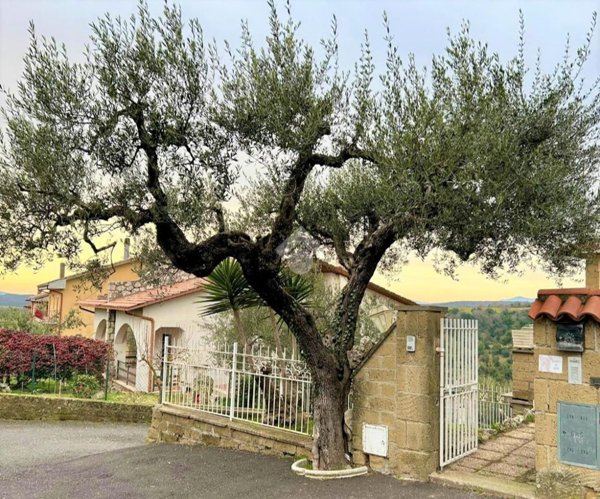 immagine annuncio 0 di 1