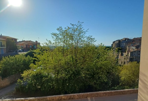 appartamento in vendita a Farnese