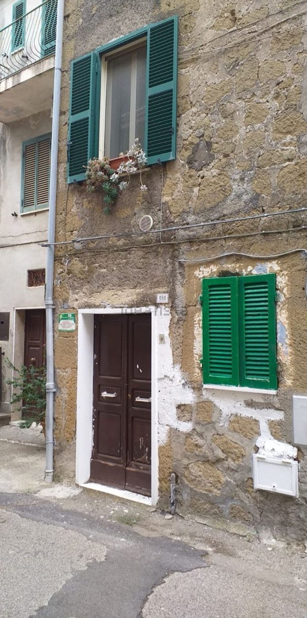 appartamento in vendita a Farnese