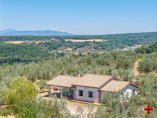 casa indipendente in vendita a Farnese