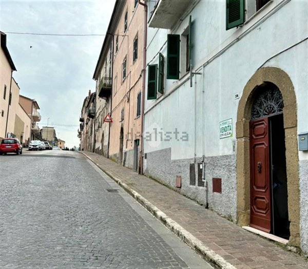 appartamento in vendita a Farnese