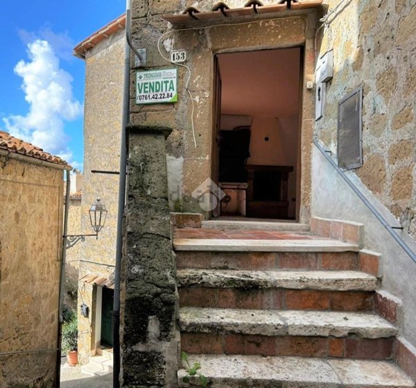 appartamento in vendita a Farnese